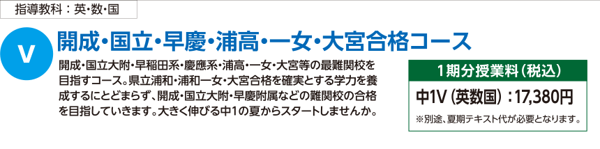 開成・国立・早慶・浦高・一女・大宮合格コース