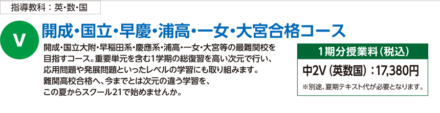 開成・国立・早慶・浦高・一女・大宮合格コース