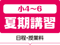 小4〜6 夏期講習