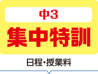 中3 集中特訓