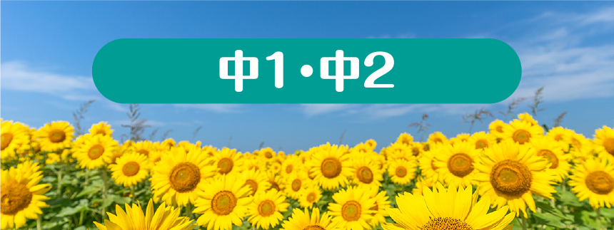 中1・中2