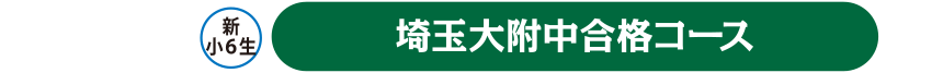 埼玉大附中合格コース