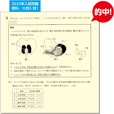 2023年入試問題理科／大問3 問1