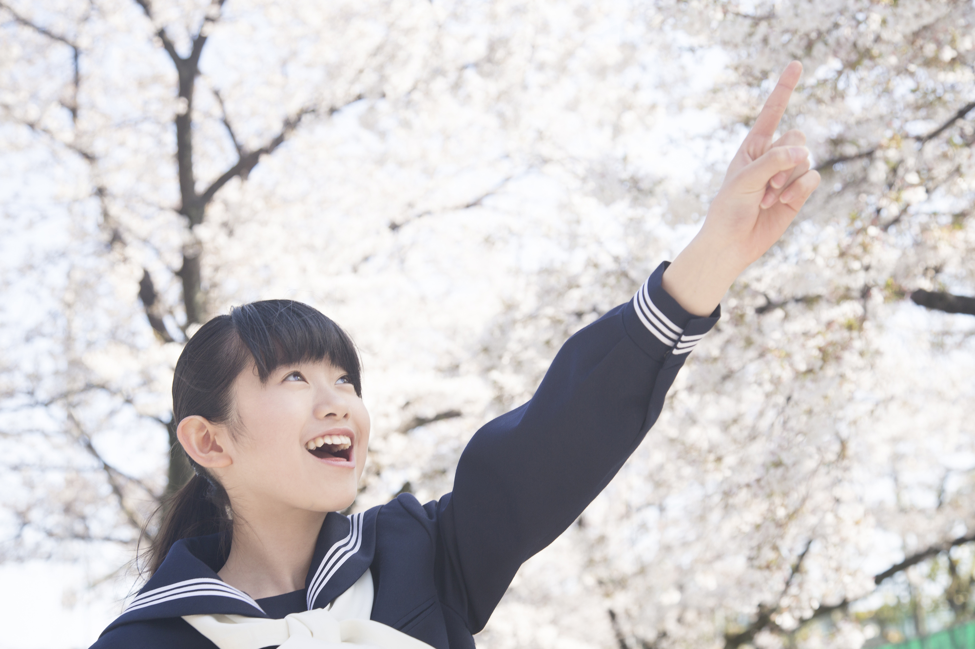 2025年度の中学入試を振り返ってのアイキャッチ画像