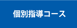 個別指導コース