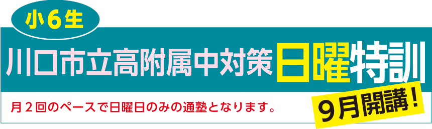 川口市立高附属中対策日曜特訓