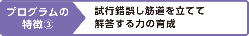 プログラムの特徴③試行錯誤し筋道を立てて解答する力の育成