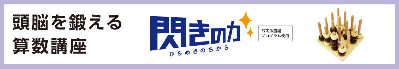 頭脳を鍛える算数講座 閃きの力