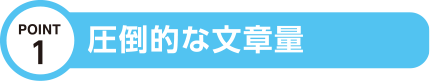 圧倒的な文章量