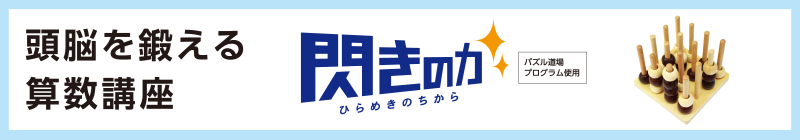 頭脳を鍛える算数講座 閃きの力
