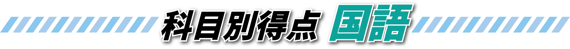科目別得点 国語
