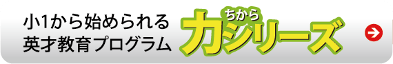 小1から始められる英才教育プログラム 力シリーズ