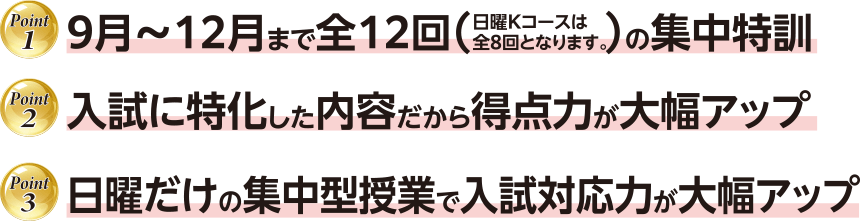 point1 9月~12月まで全12回の集中特訓、point2 入試に特化した内容だから得点力が大幅アップ、point3 日曜だけの集中型授業で入試対応力が大幅アップ