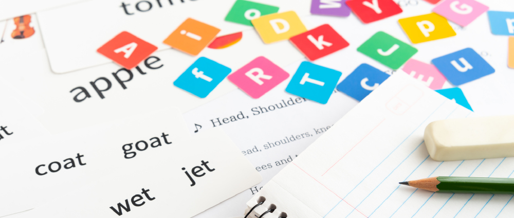 家庭学習用トレーニングブック「デイリートレーニング」で「書く力」を強化
