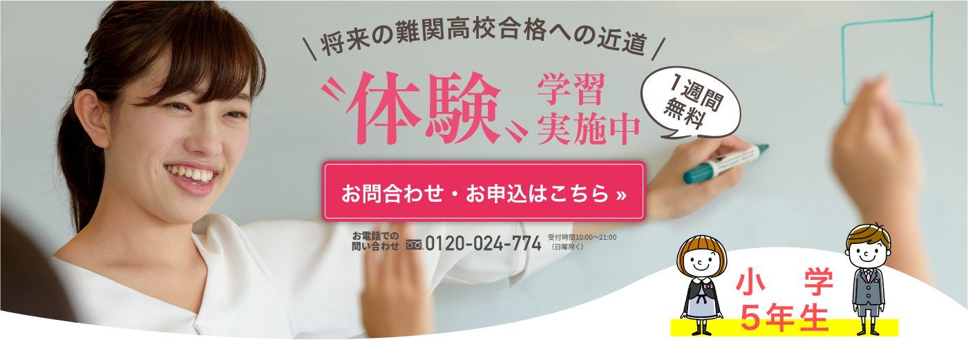 体験学習実施中