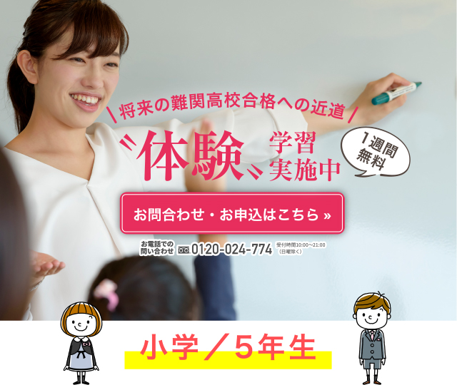 体験学習実施中