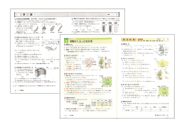 ❺実戦実習