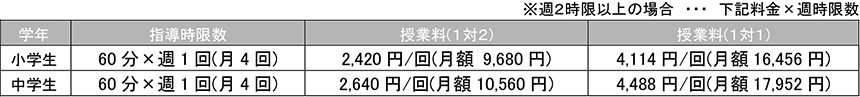 作文の力(個別指導スタイル)