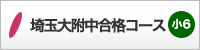 埼大附中合格コース