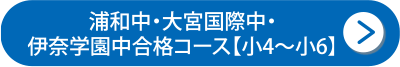 浦和中・大宮国際中・伊奈学園中合格コース【小4～小6】