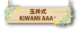玉井式 KIWAMI AAA＋