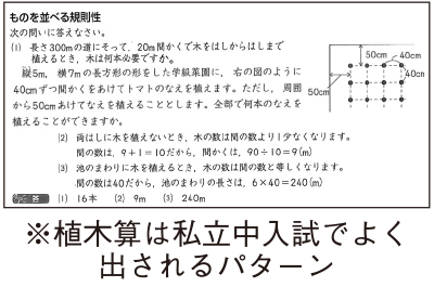 植木算は私立中入試でよく出されるパターン